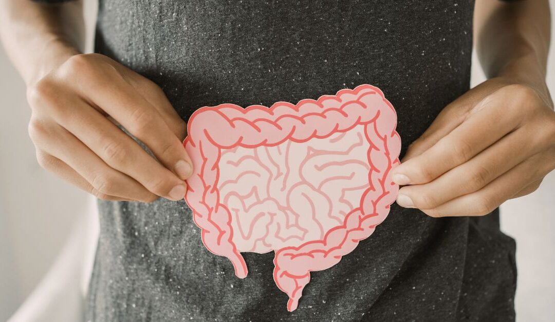 The Gut-Immune Connection