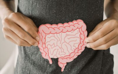 The Gut-Immune Connection